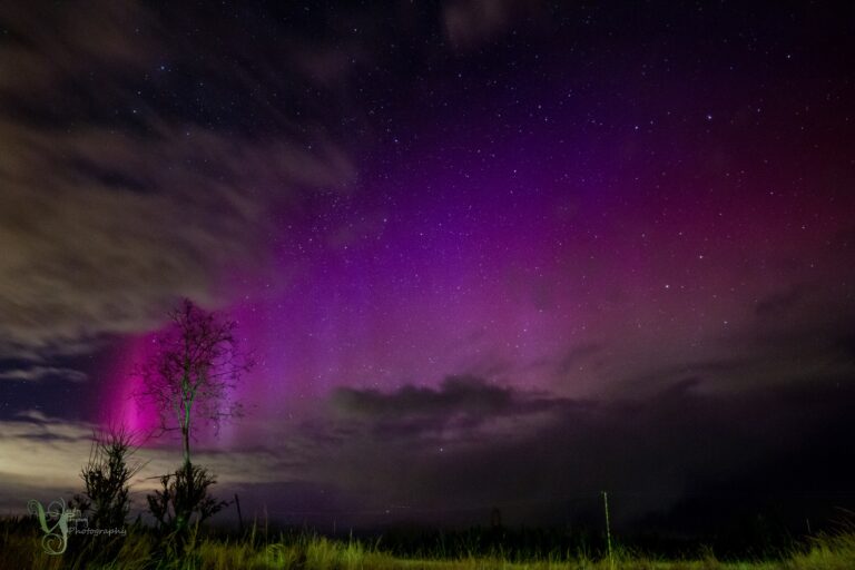 northern lights dark and purple