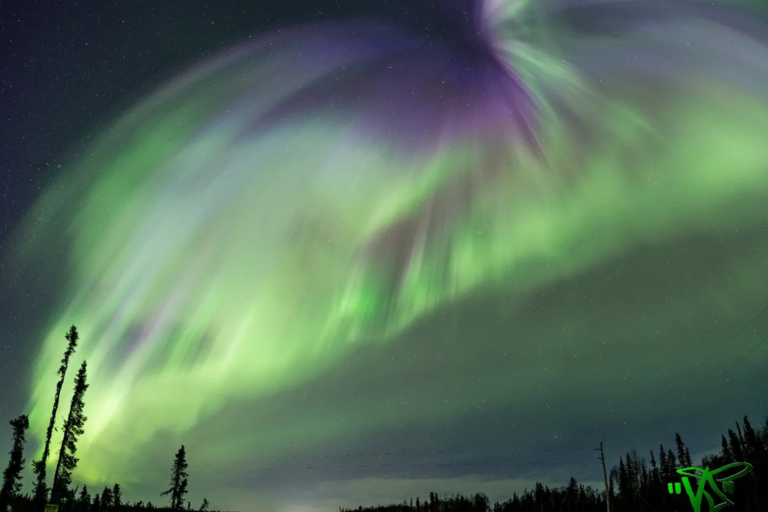 northern lights 4