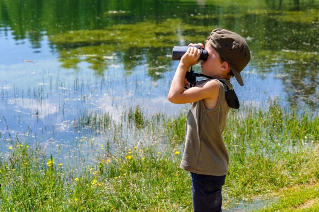 Peaceful lake wildlife and bird watching on the Kenai Peninsula