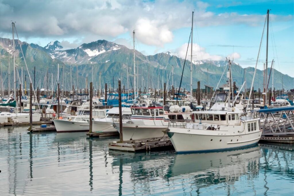 Lake trout fishing Kenai Peninsula adventure in Alaska